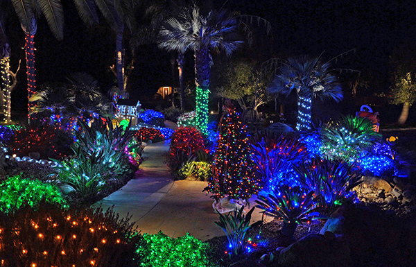 East County Christmas Lights noah homes spring valley. Downtown San Diego Christmas Lights - East County Christmas Lights