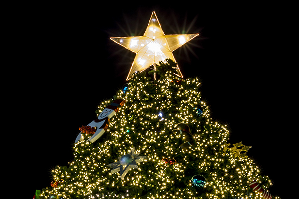 christmas in a box animated lighting christmas lights christmas in a box animated lighting christmas lights