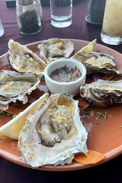 2514 HarborView oysters