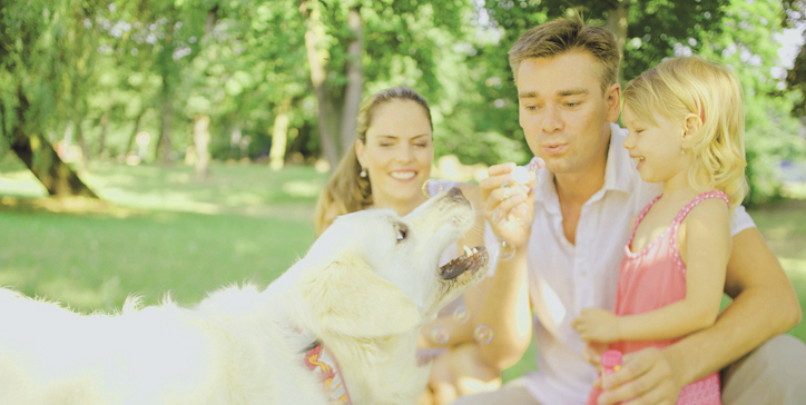 Tips from the Dog Whisperer