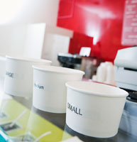 Frozen Yogurt