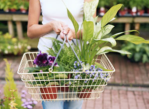 Help for Home Gardeners and Urban Farmers