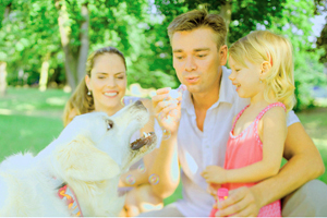 Tips to introduce a dog to a younger child