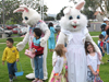 Egg Hunt & Festival at San Diego First Assembly