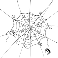 Spider
