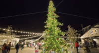 Tree Lighting at One Paseo