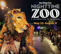 Nighttime Zoo