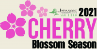 Cherry Blossom Festival