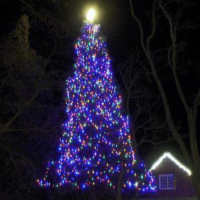Julian Christmas Tree Lighting