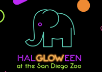 HalGLOWeen