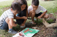 Screen Free Kids Family Art Workshop