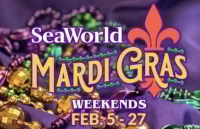 SeaWorld Mardi Gras