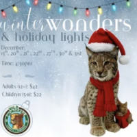 Winter Wonders & Holiday Lights