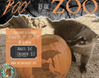 Boo! At the Zoo