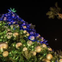 Christmas Tree Wonderlights