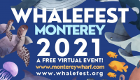 Whalefest Monterey