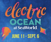 SeaWorld’s Electric Ocean