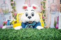 Easter Bunny Enchanted Spring Gardens