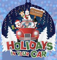 Holidays in Your Car