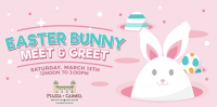 Easter Bunny Meet & Greet