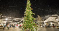 Tree Lighting at One Paseo