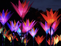 “Lightscape.”