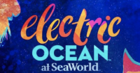 Electric Ocean at SeaWorld