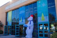 Seas ‘n’ Greetings at the Birch Aquarium