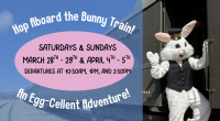 Bunny Train