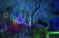 “Lightscape.” 