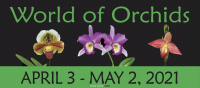 World of Orchids