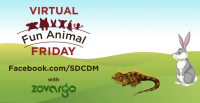 Fun Animal Friday: Spiny-Tailed Lizard & Rabbit