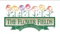 The Flower Fields