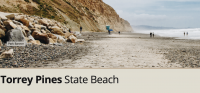 Torrey Pines State Natural Reserve