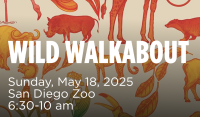 Rady Children’s Wild Walkabout