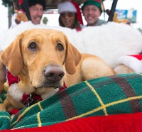PB Holiday Parade