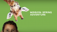 Mission: Spring Adventure at the San Diego Zoo