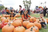 Waterfront Park Pumpkin Patch