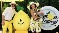 Lemon Festival