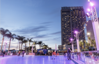 Downtown Skate