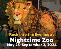 Nighttime Zoo