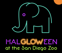 HalGLOWeen at the San Diego Zoo