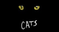 “Cats.” 