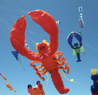 OB Kite Festival
