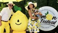 Lemon Festival