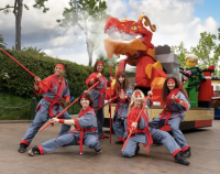 LEGO Ninjago Weekends