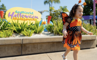 SeaWorld Spooktacular