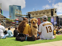 Bark at the Big Screen