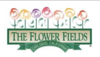 Kids Day at the Flower Fields