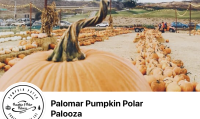 Palomar Pumpkin Polar Palooza. 